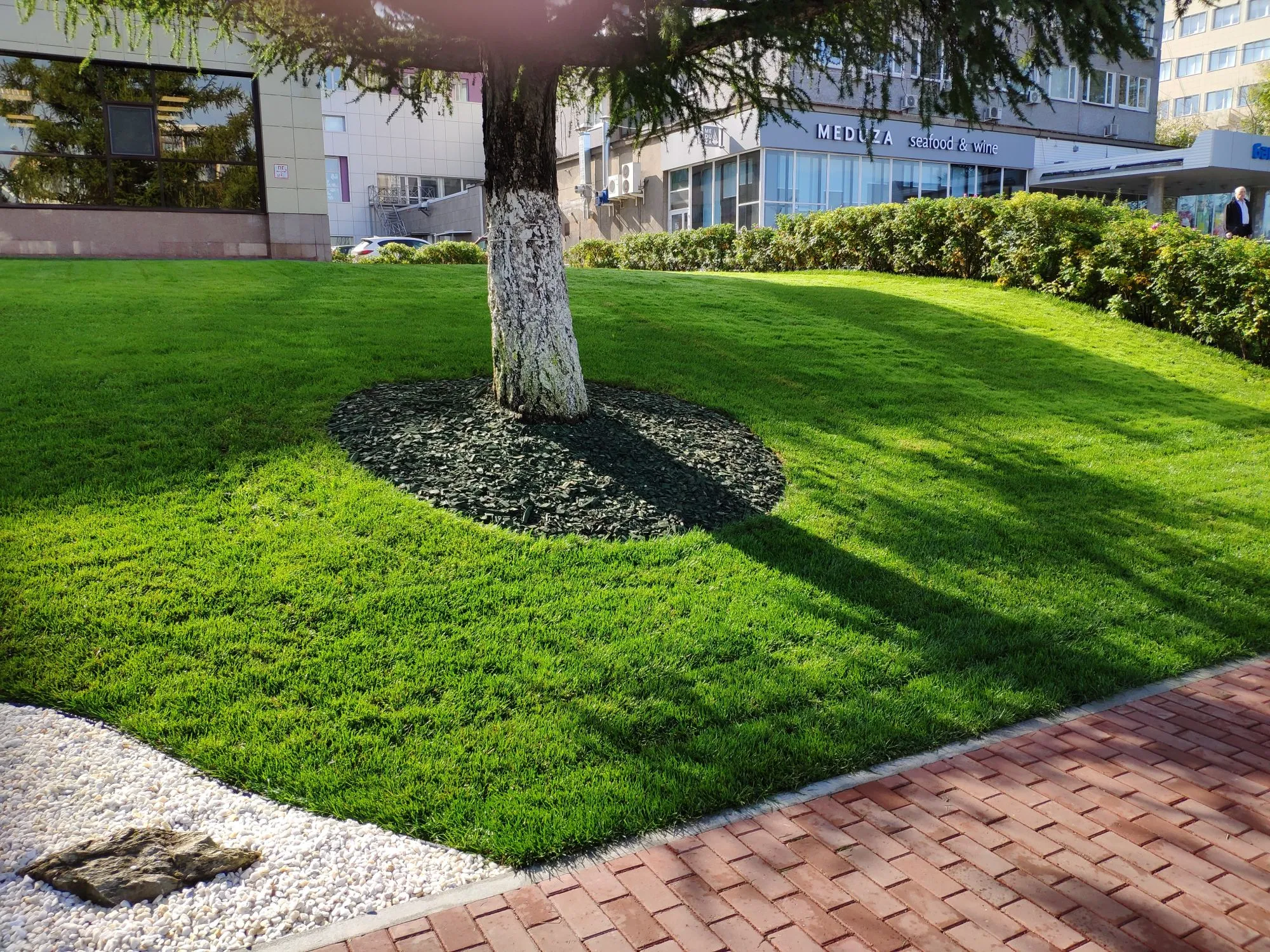 Благоустройство территории в Томске и Томской области  — озеленение, асфальтирование, укладка тротуарной плитки